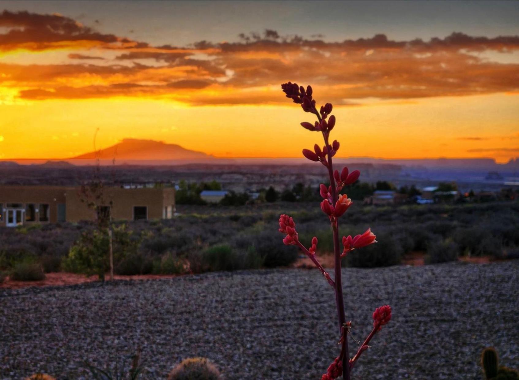 Page Arizona Border Town- Crimson Suite, Desert Canyon Getaway With Views บิ๊ก วอเตอร์ ภายนอก รูปภาพ